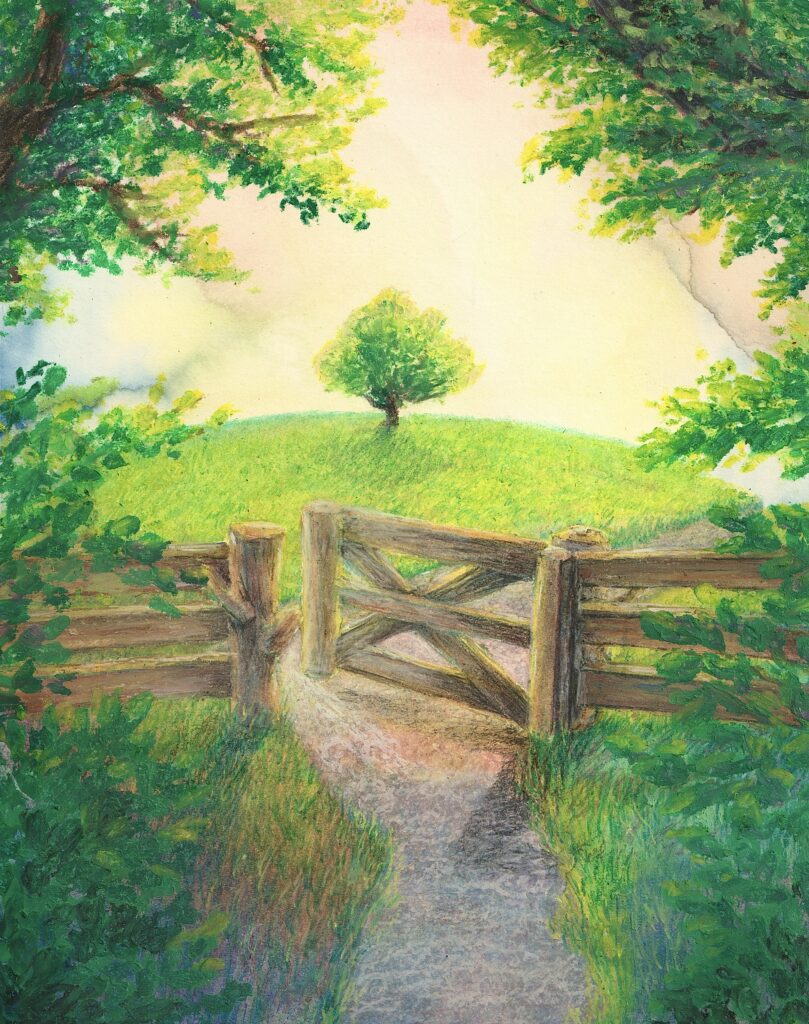 暗い森の道の先に木の柵、その先は解放的な草原のイラスト