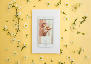 2月のイラストカレンダーを壁紙にしたスマホの写真